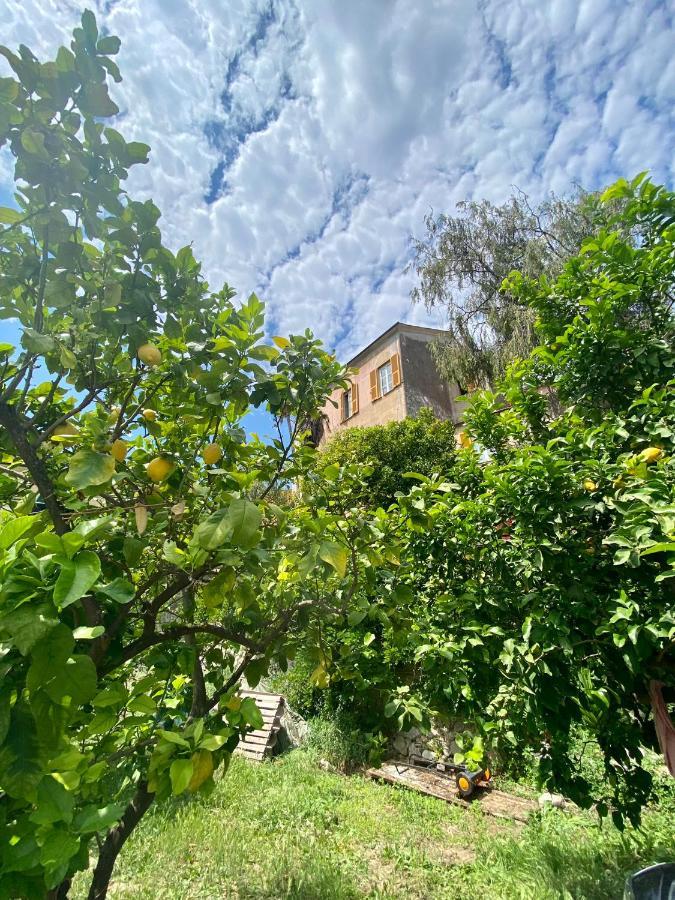 Out Finish Villa Cassi Finale Ligure Εξωτερικό φωτογραφία