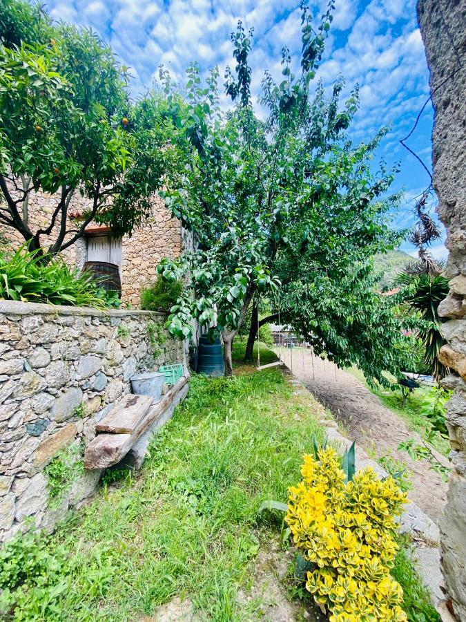 Out Finish Villa Cassi Finale Ligure Εξωτερικό φωτογραφία