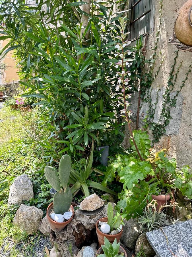 Out Finish Villa Cassi Finale Ligure Εξωτερικό φωτογραφία